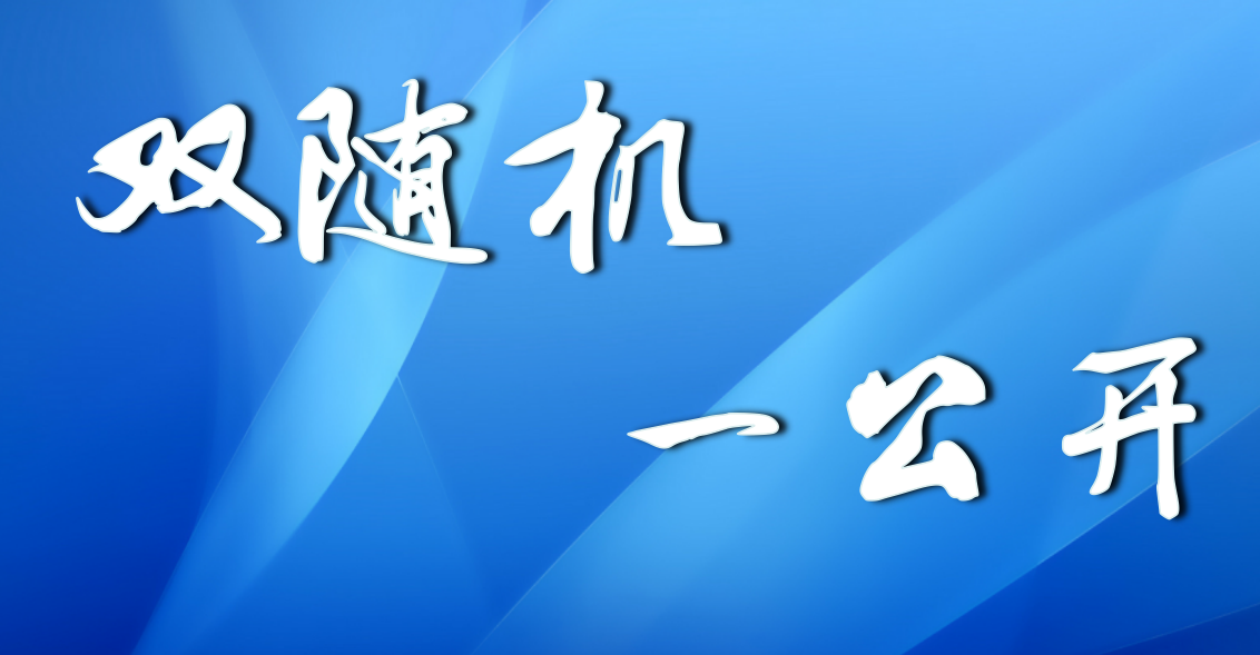 “双随机 一公开”专栏